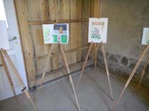 Freies Aquarellieren
